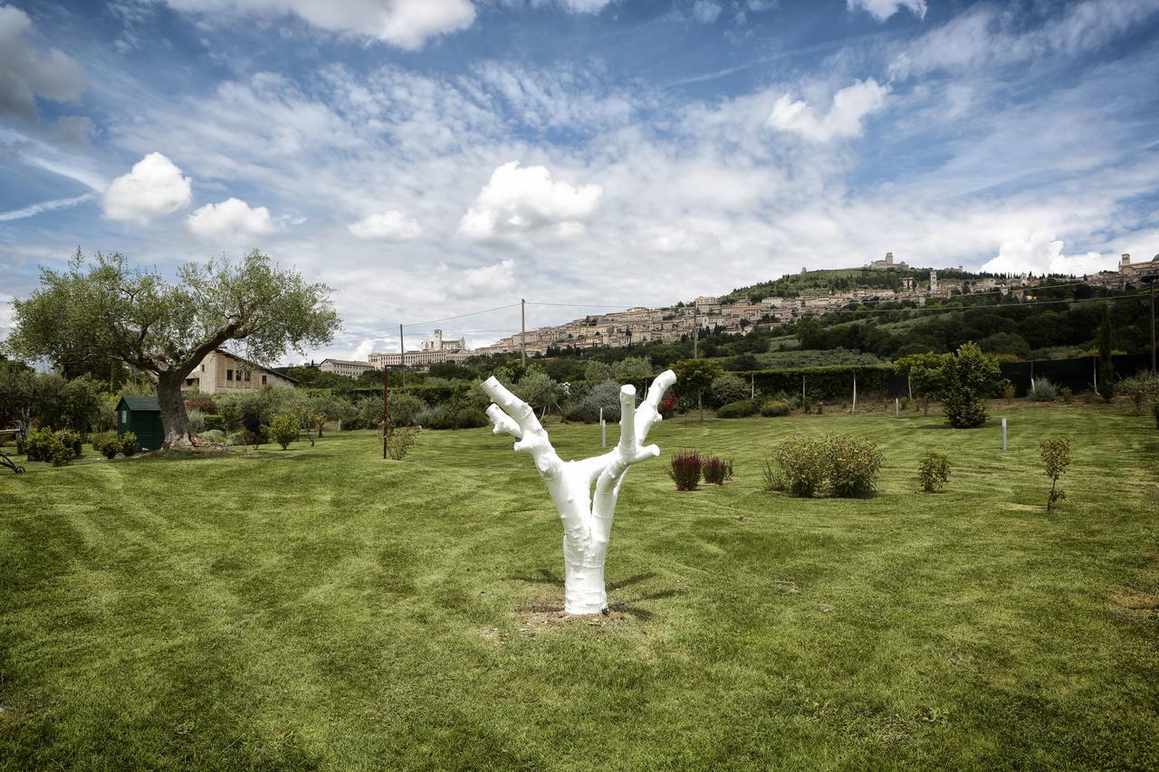 Tenuta San Masseo - Boutique Farm Resort & Spa Assisi Exterior photo